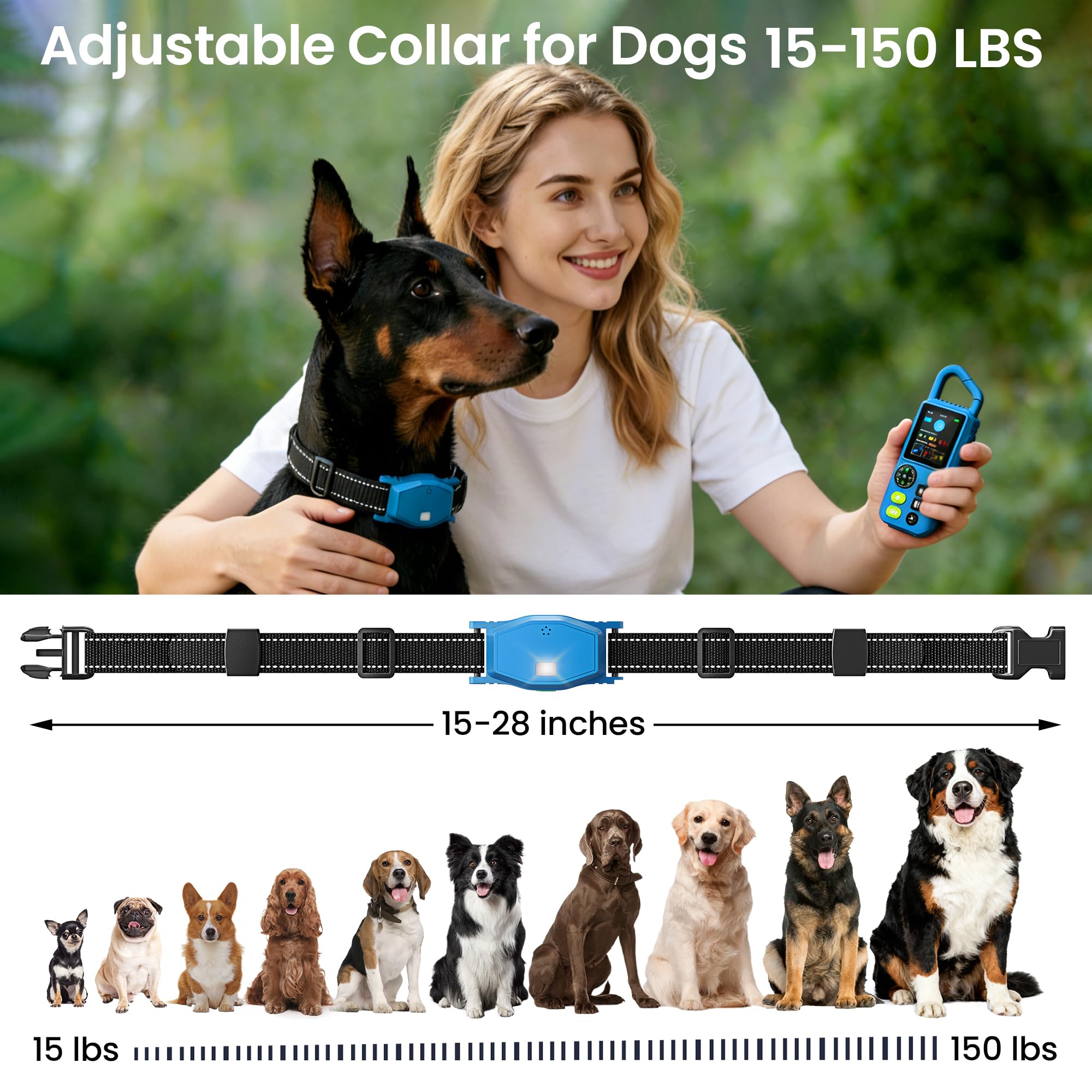 Conception durable et portable de PetChums, adaptée à l’intérieur comme à l’extérieur.