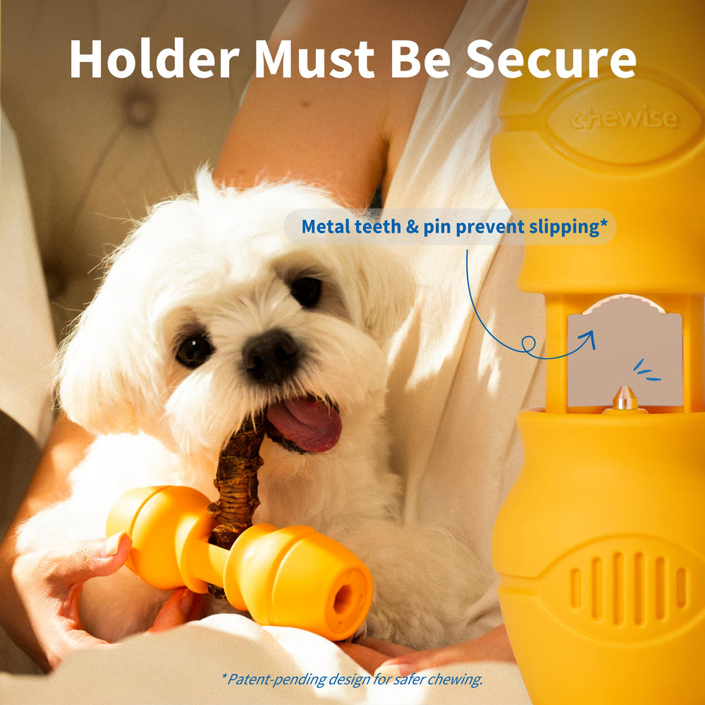 PetClan Chewise, corps en nylon alimentaire, matériau robuste et sans BPA.