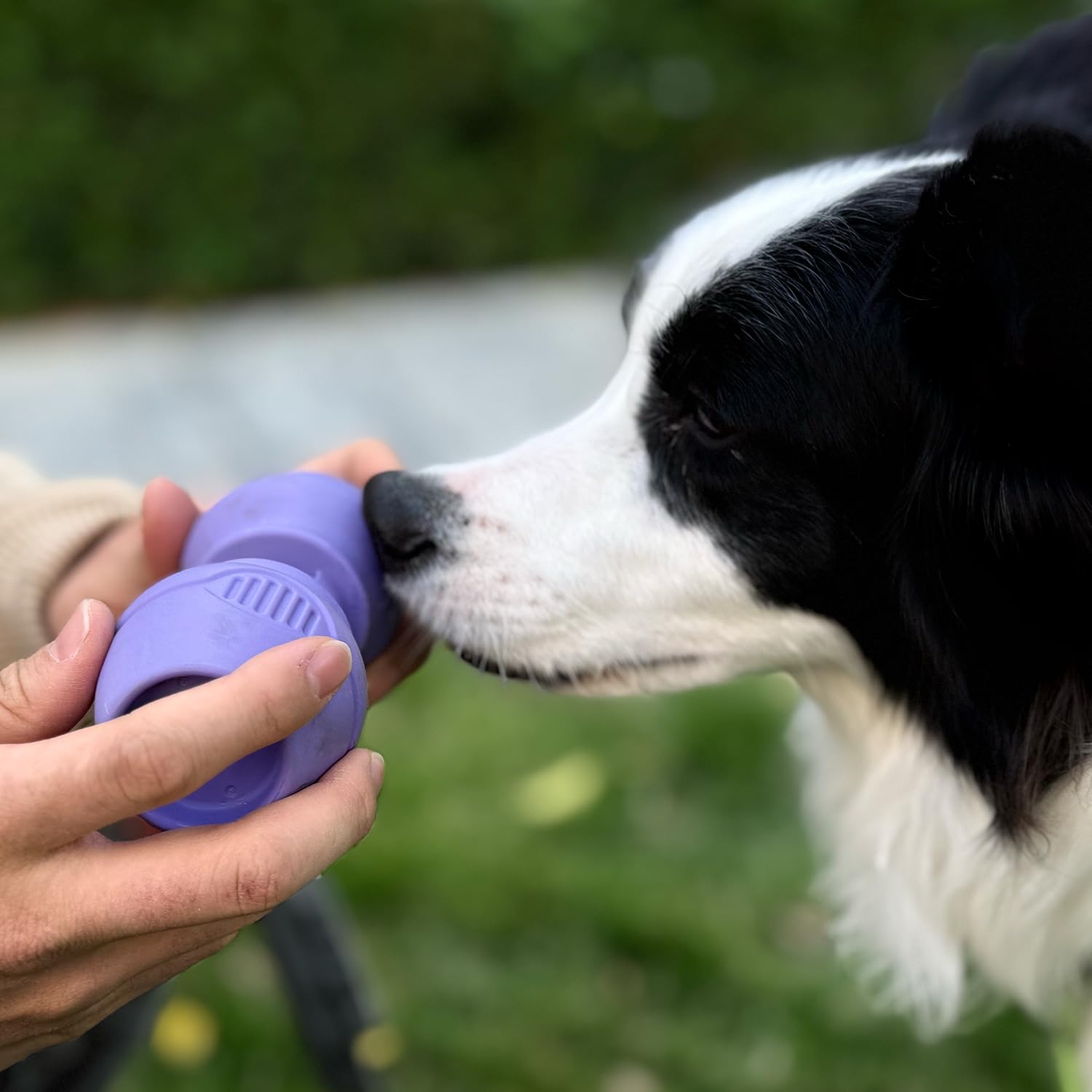 PetClan Chewise – emballage pratique et ergonomique