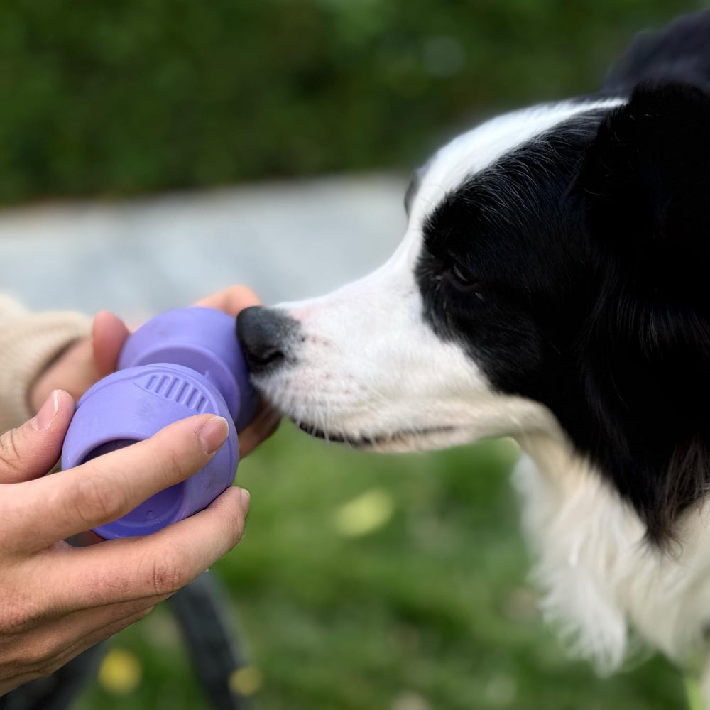 PetClan Chewise – emballage pratique et ergonomique