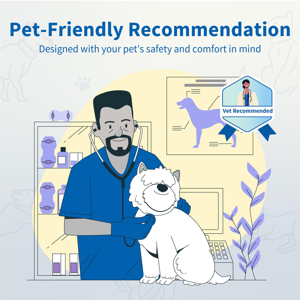 PetClan Chewise – nettoyage facile et entretien rapide