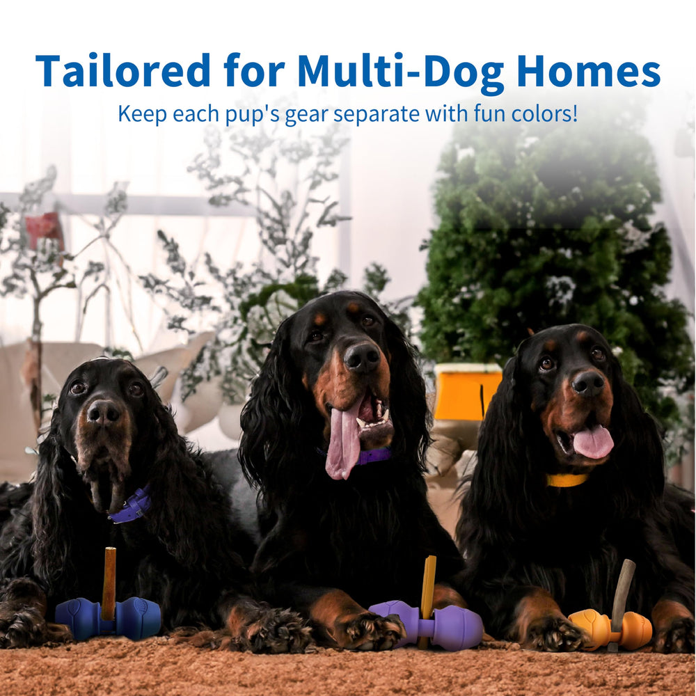 PetClan Chewise : utilisation douce et silencieuse pour des sessions calmes.