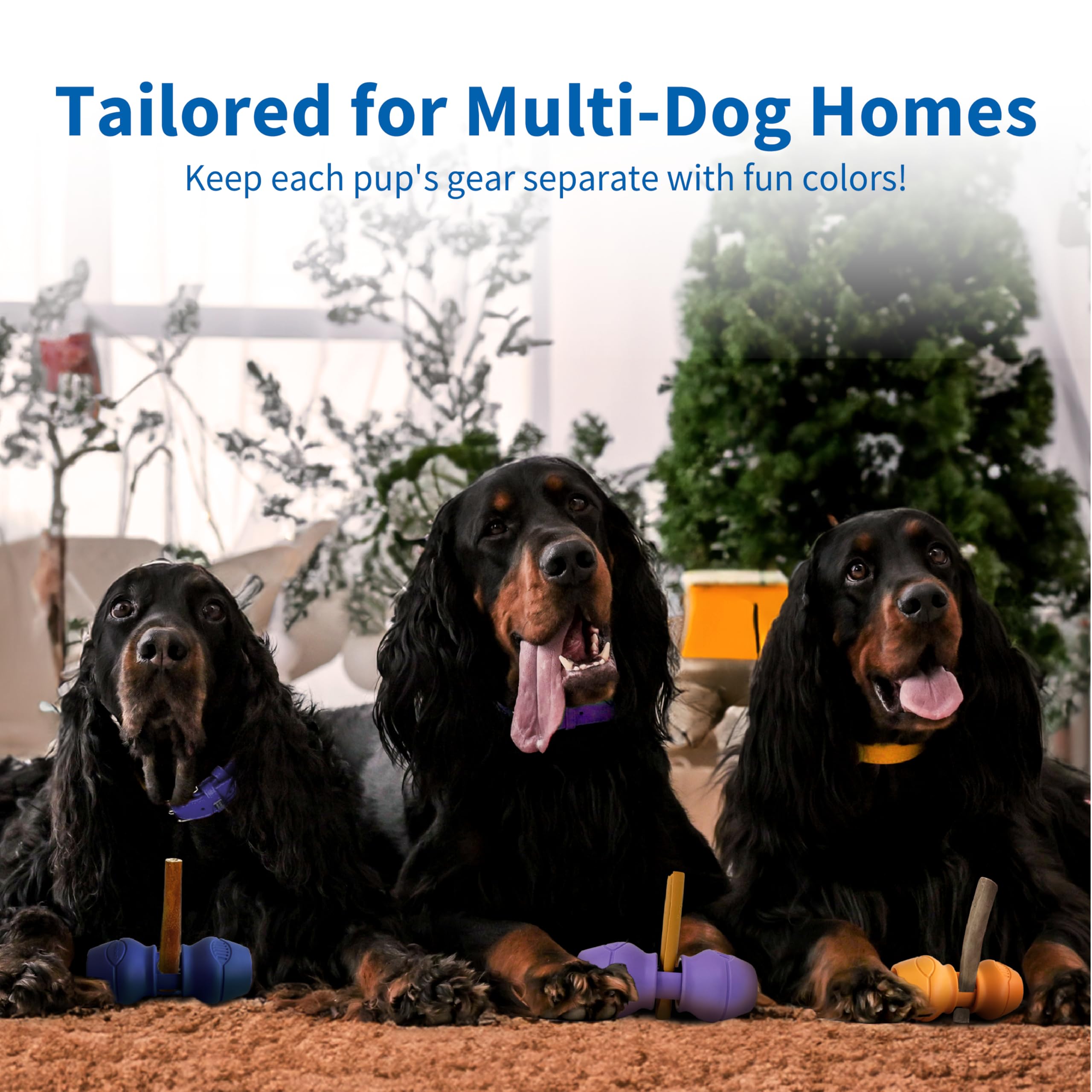 PetClan Chewise : utilisation rapide et simple, préparation sans effort.