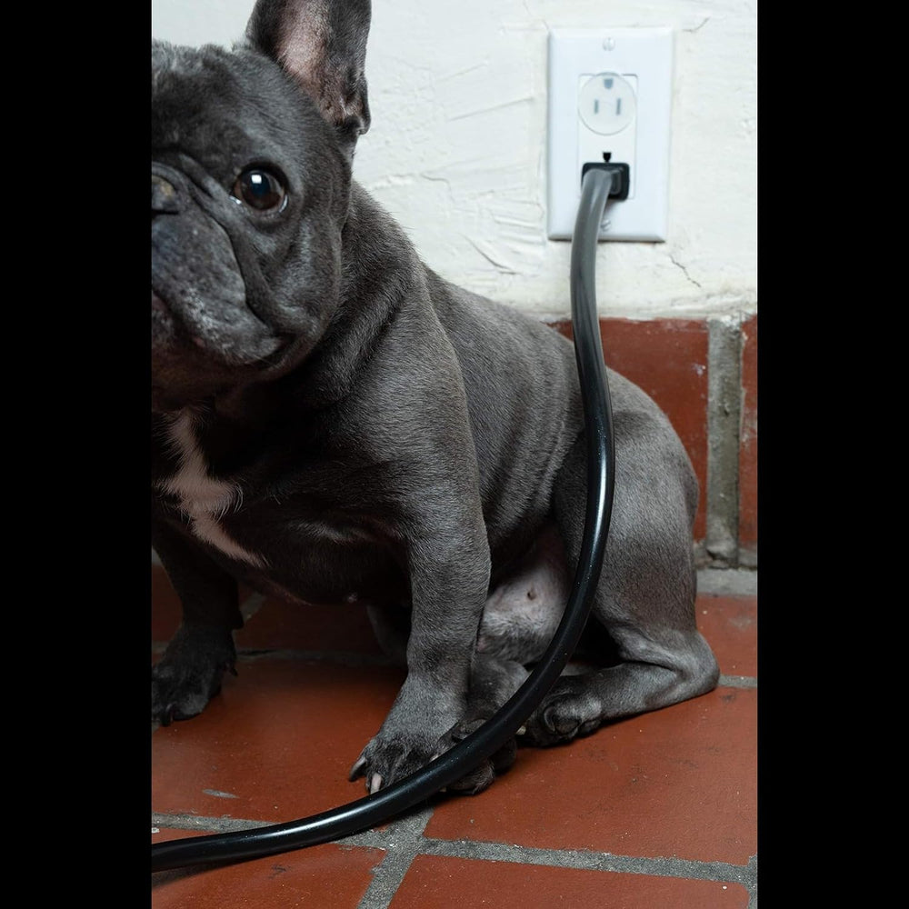 PetCords solution pratique pour éviter que les animaux mordent les câbles.