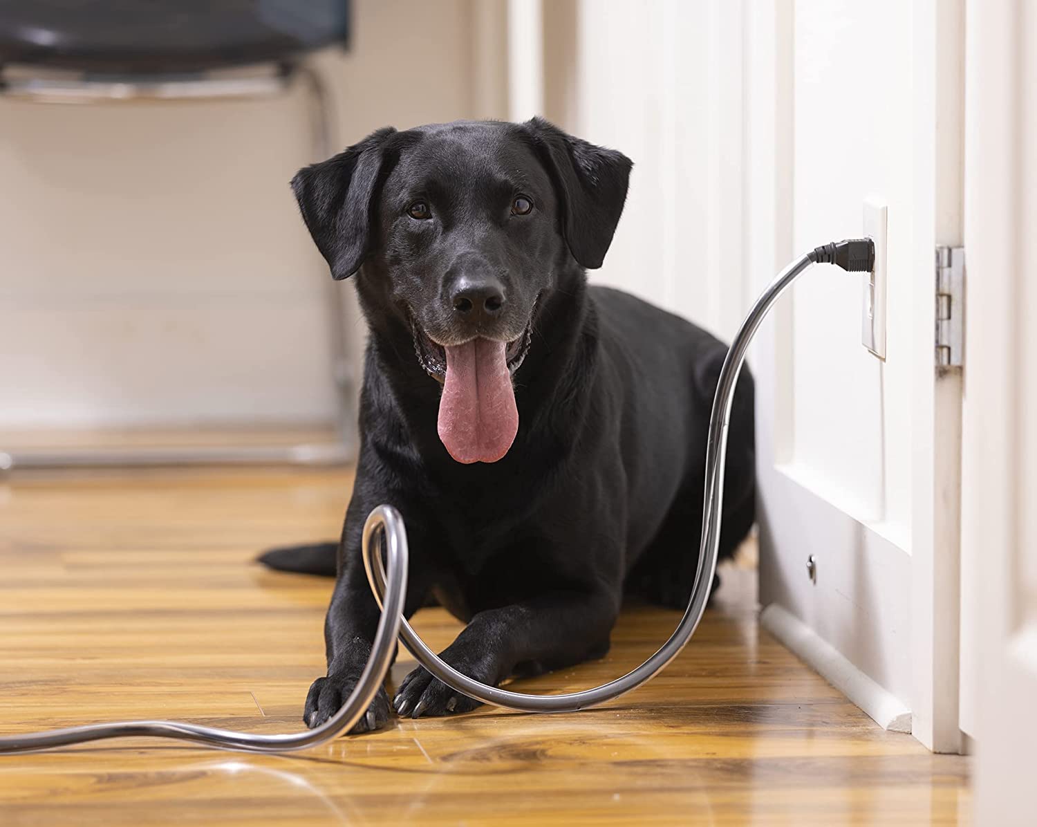 PetCords coupe-simple-pour-cordon, ajuste facilement la longueur.