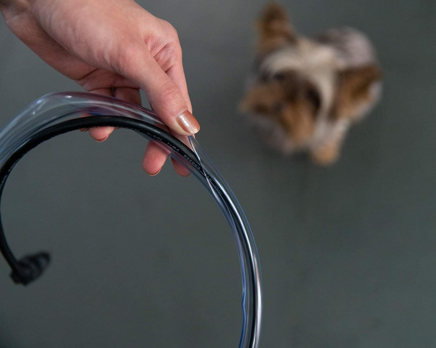 PetCords protège les câbles dans le salon avec des animaux.