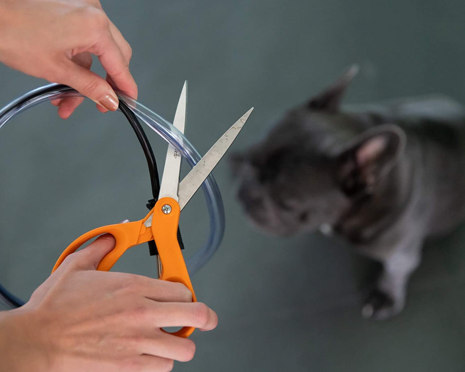 PetCords protection-cordon-appareil-cuisine, pratique pour câbles d’appareils.