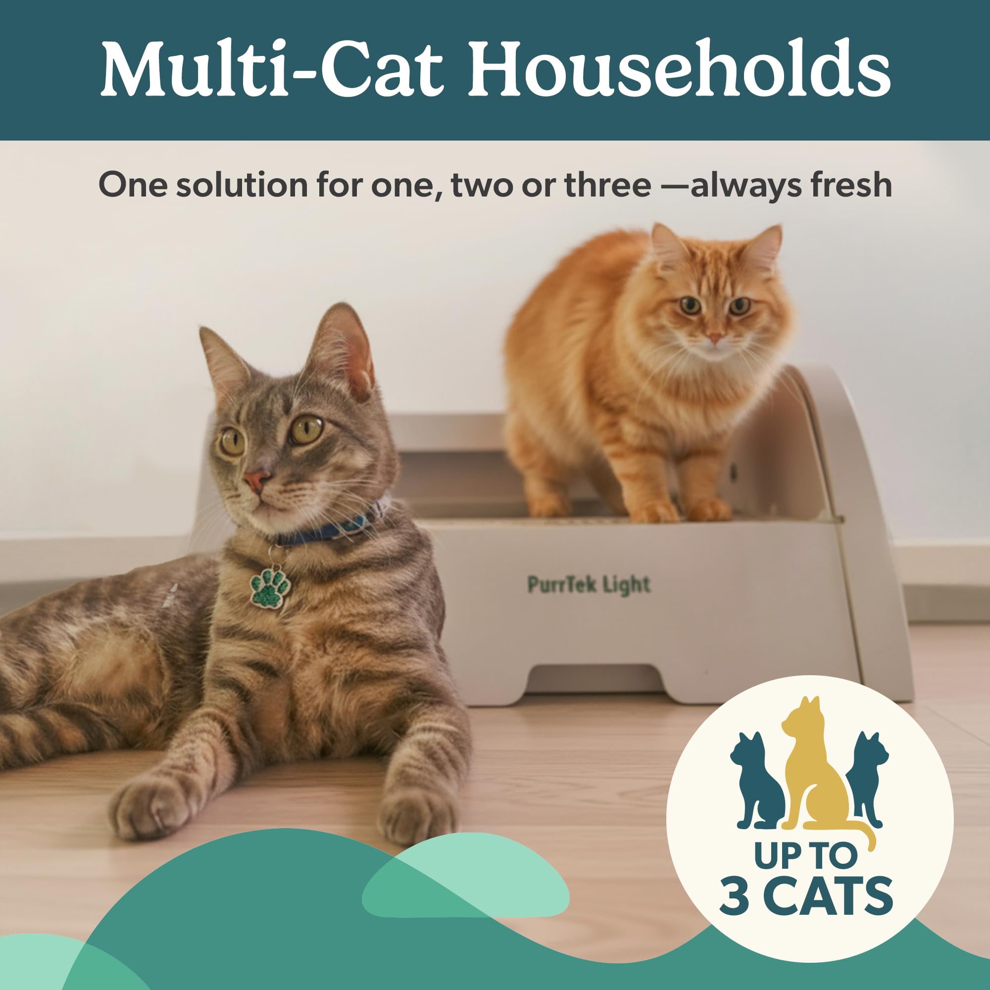 PetCove PurrTek Light : compatibilité avec la litière Bentonite pour un nettoyage fluide.