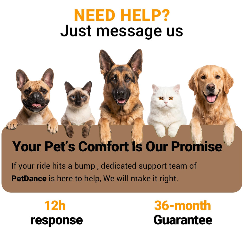 PetDance Sangles renforcees haute traction pour chiens actifs