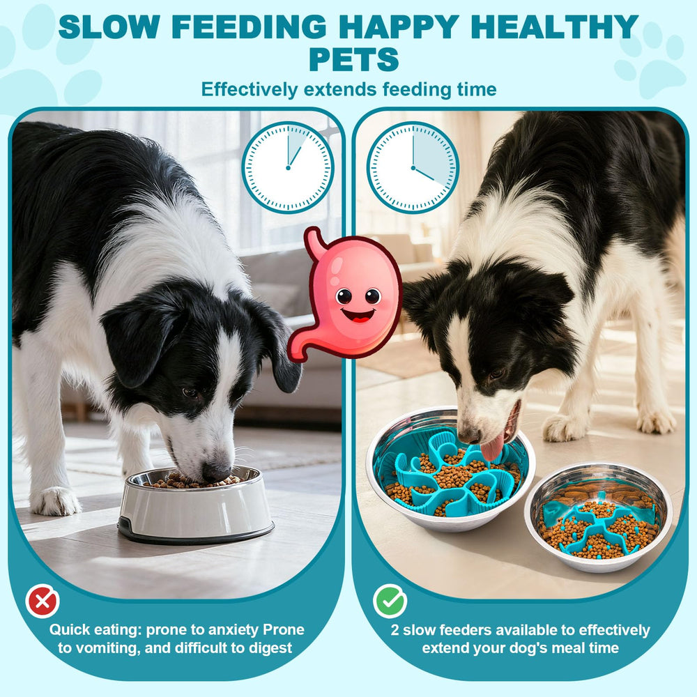 PETDOGRE Insert Ralentisseur Repas Grid Multiples: adaptez la vitesse selon le chien.