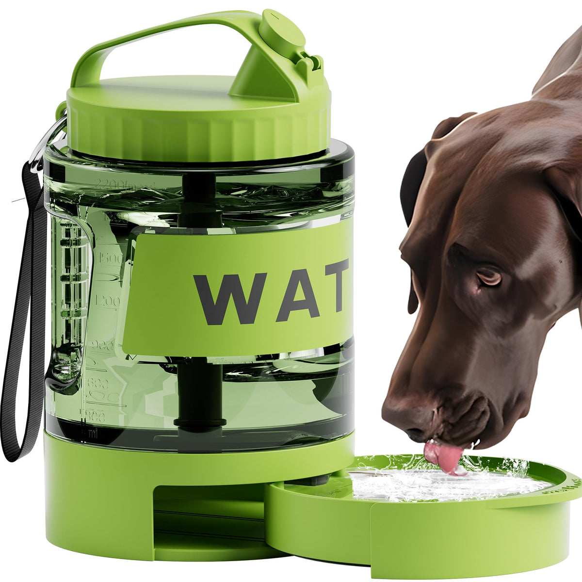 PETDOTT distributeur eau chien 77oz, grande capacité pour sorties prolongées