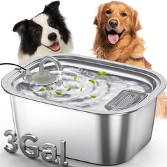 Fontaine PETDOTT 11 L pour chiens de grande taille, capacité élevée.