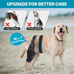 Petdream sangle ajustable et boucles auto-agrippantes pour un ajustement rapide.
