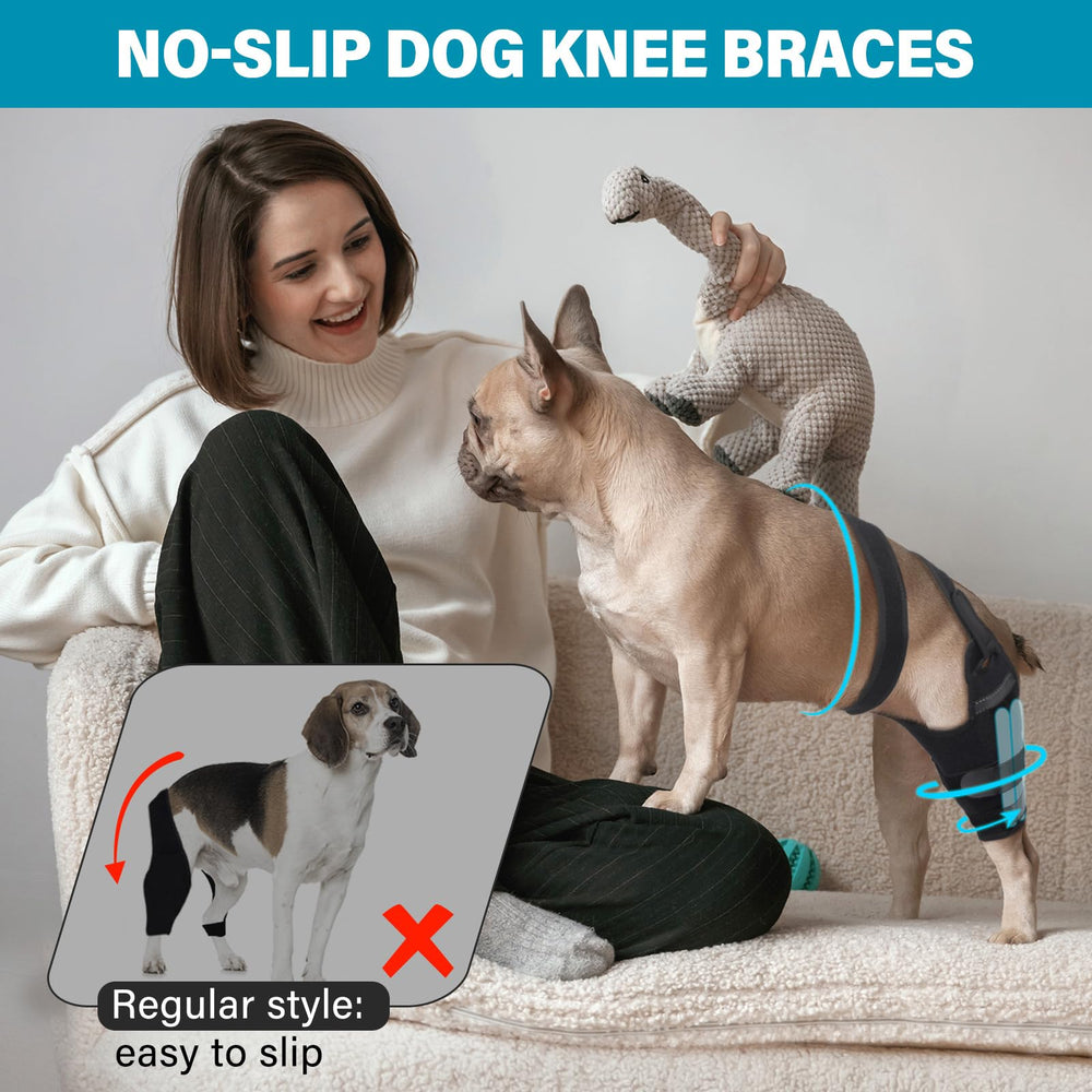 Petdream gamme de tailles pour petits, moyens et grands chiens.