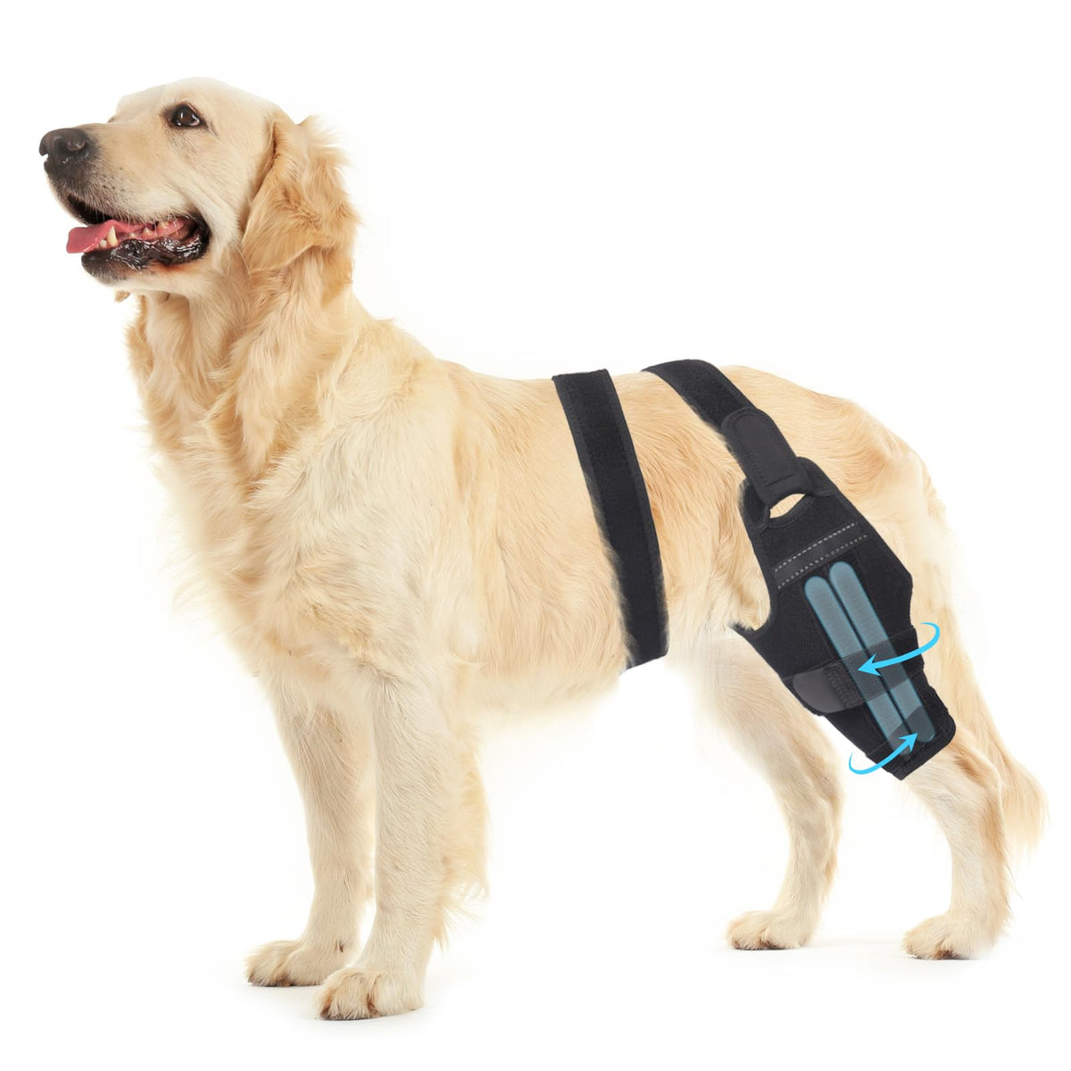 Petdream attelle genou chien droit, soutien ciblé après blessure.