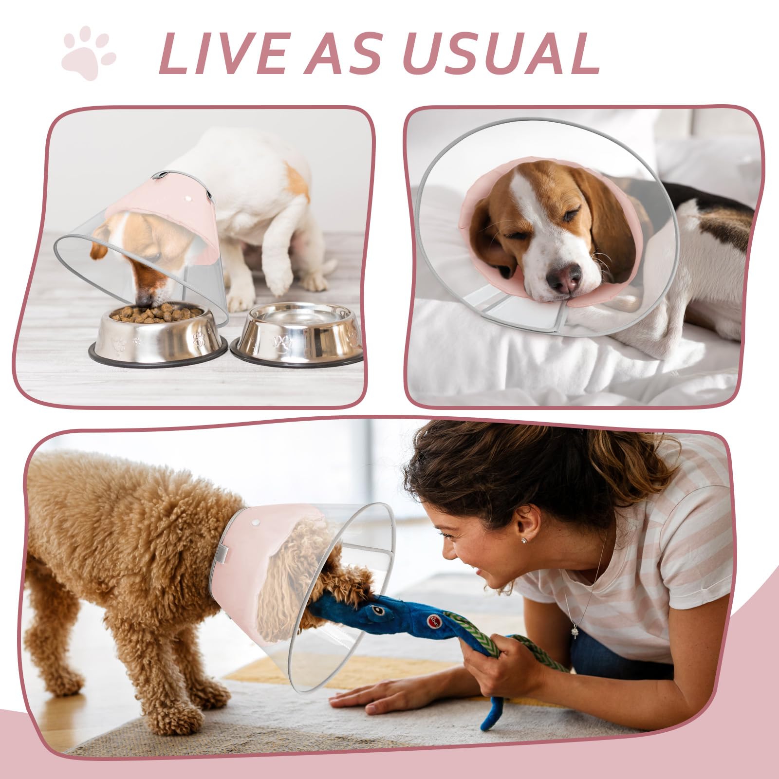 Guide des tailles Petdream—six dimensions pour trouver le bon ajustement.