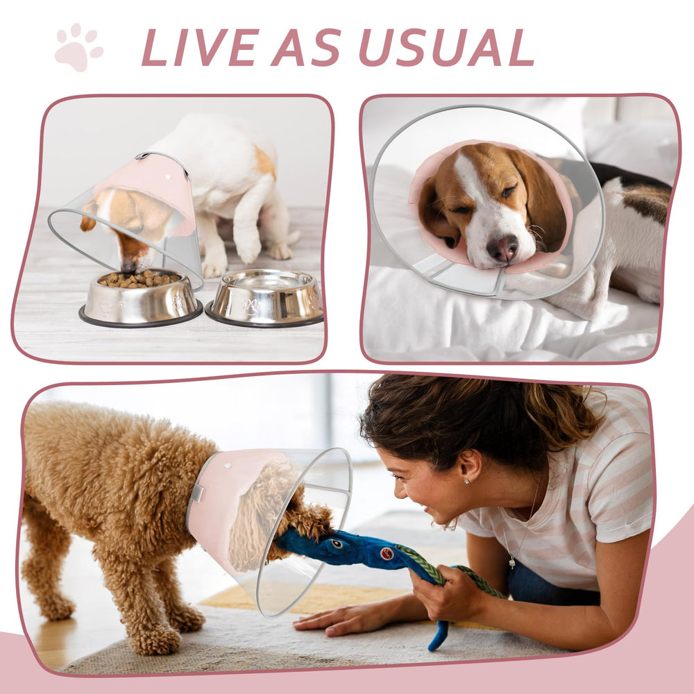 Guide des tailles Petdream—six dimensions pour trouver le bon ajustement.