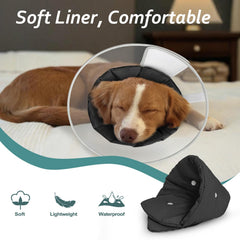 Boucles intérieures Petdream, sécurité double pour maintien stable.