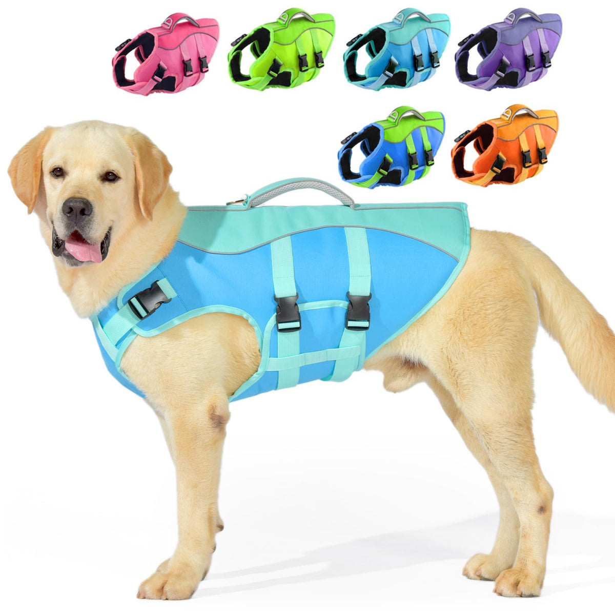 Gilet PETDSH pour petit chien montrant sa flottabilité sécurisante en eau.