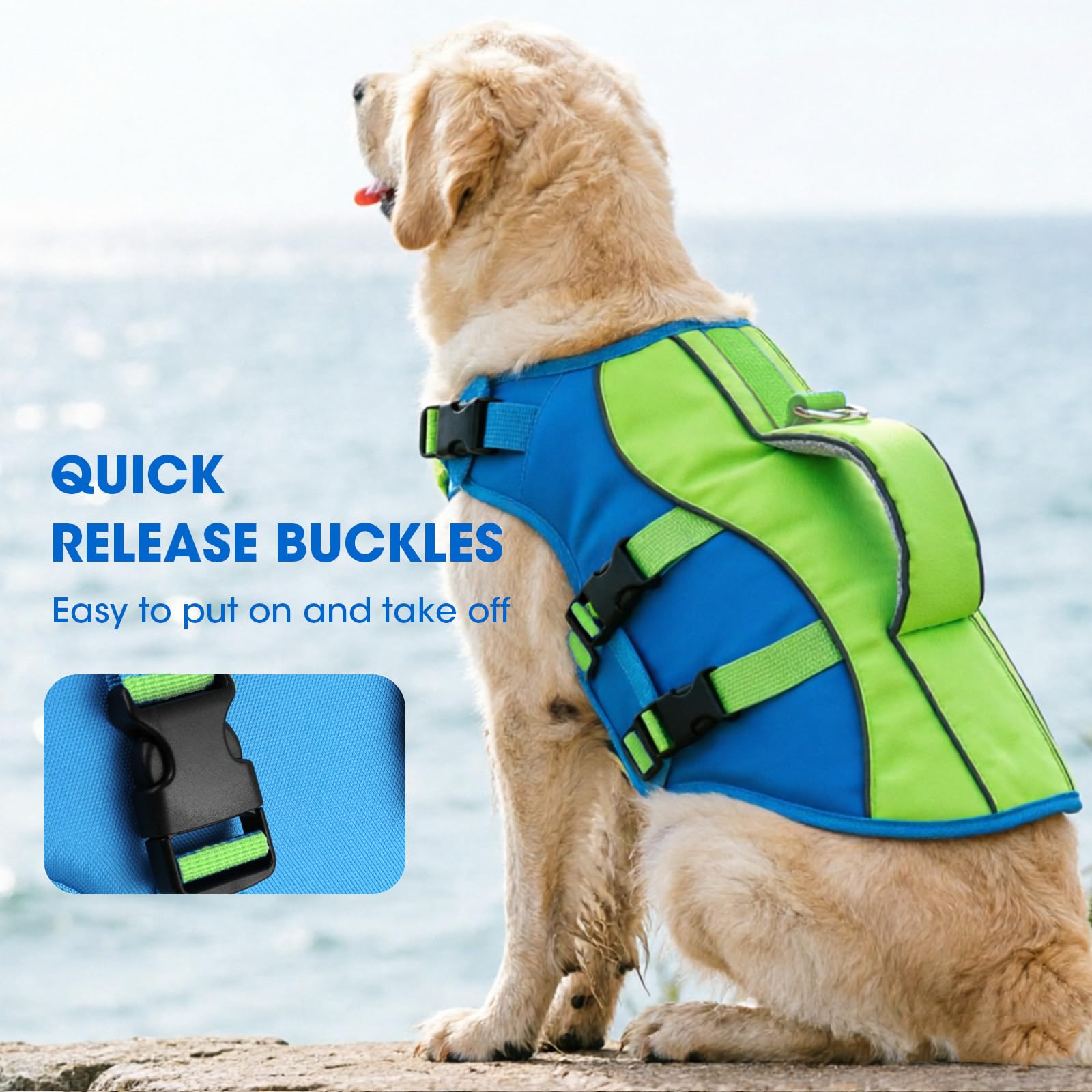 Gilet PETDSH avec rembourrage pour plus de confort en eau.