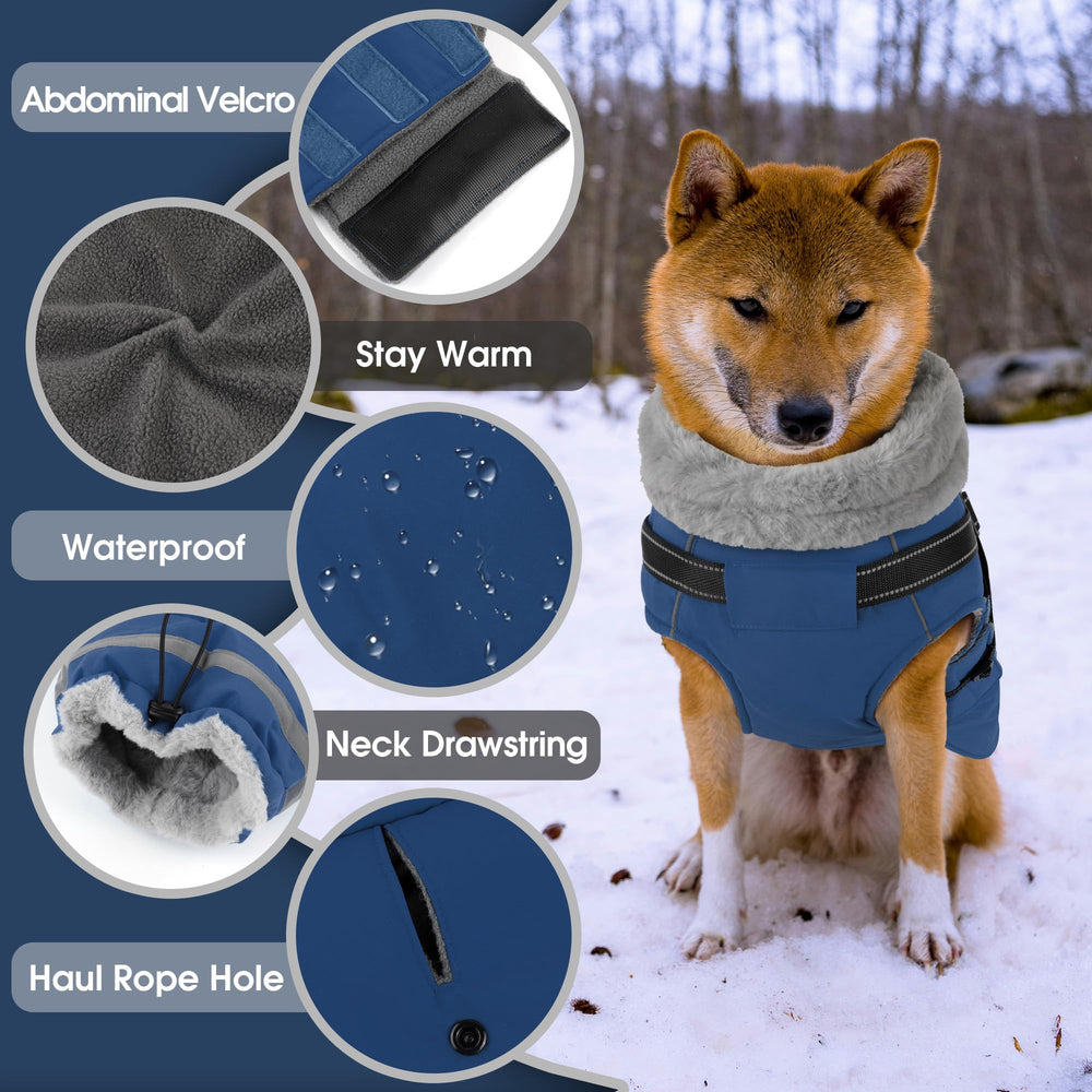 PETDSH manteau chien avec anneau d'attache pour laisse lors des promenades.