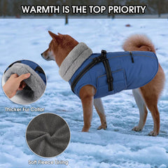 Manteau PETDSH imperméable pour chien, garde le pelage sec lors des sorties pluvieuses.