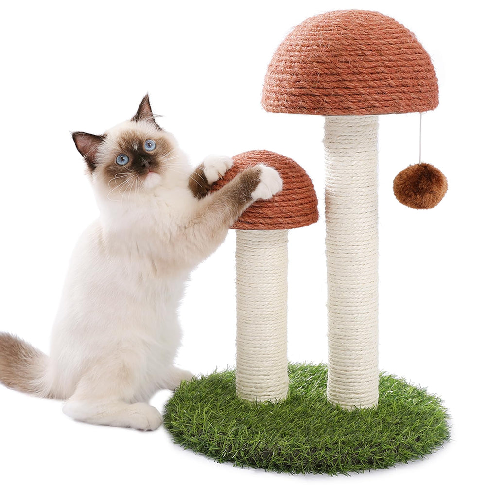 PETEPELA Chat – champignon haut et griffage en sisal naturel, durable.