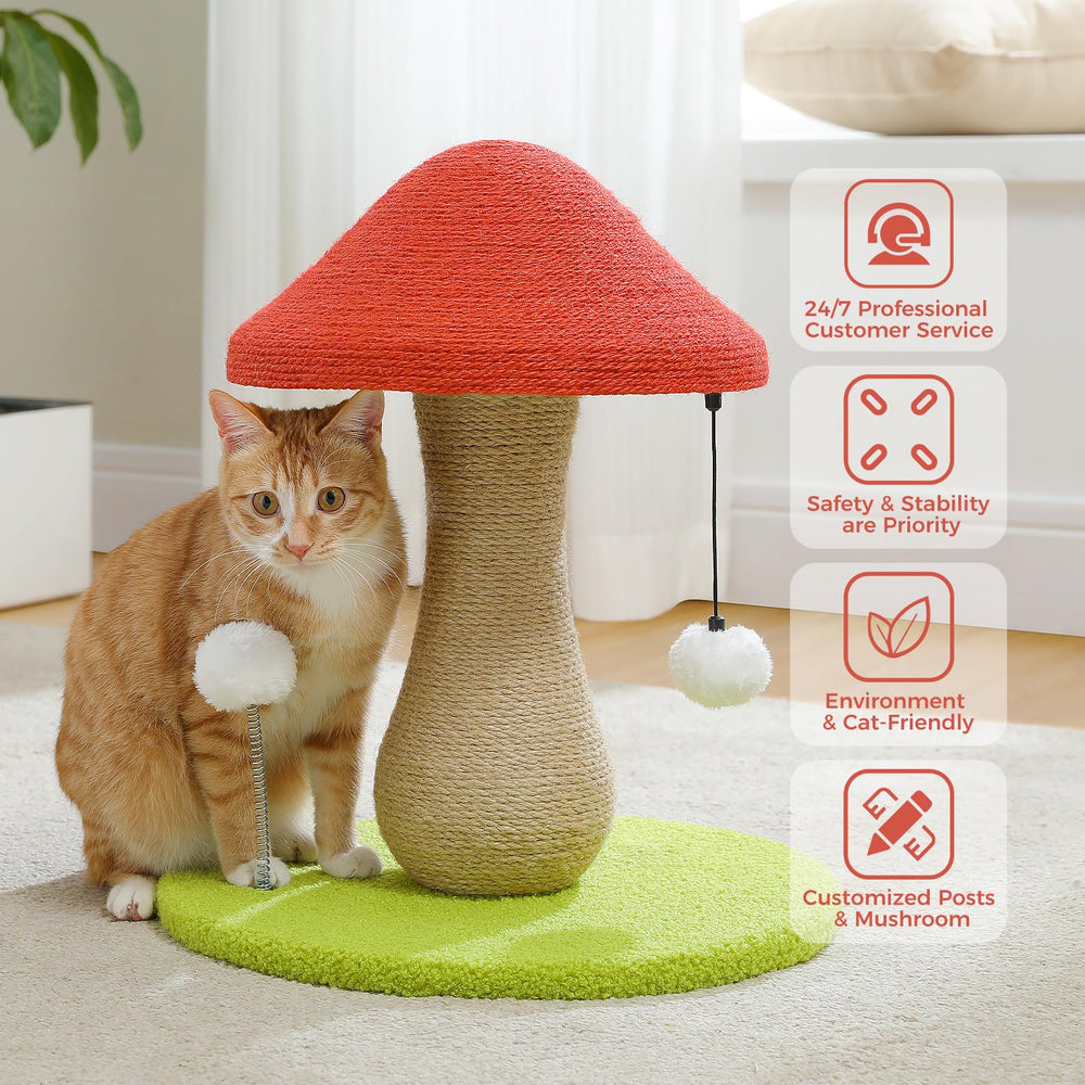 PETEPELA usage intérieur - post de grattage sûr et durable pour chats
