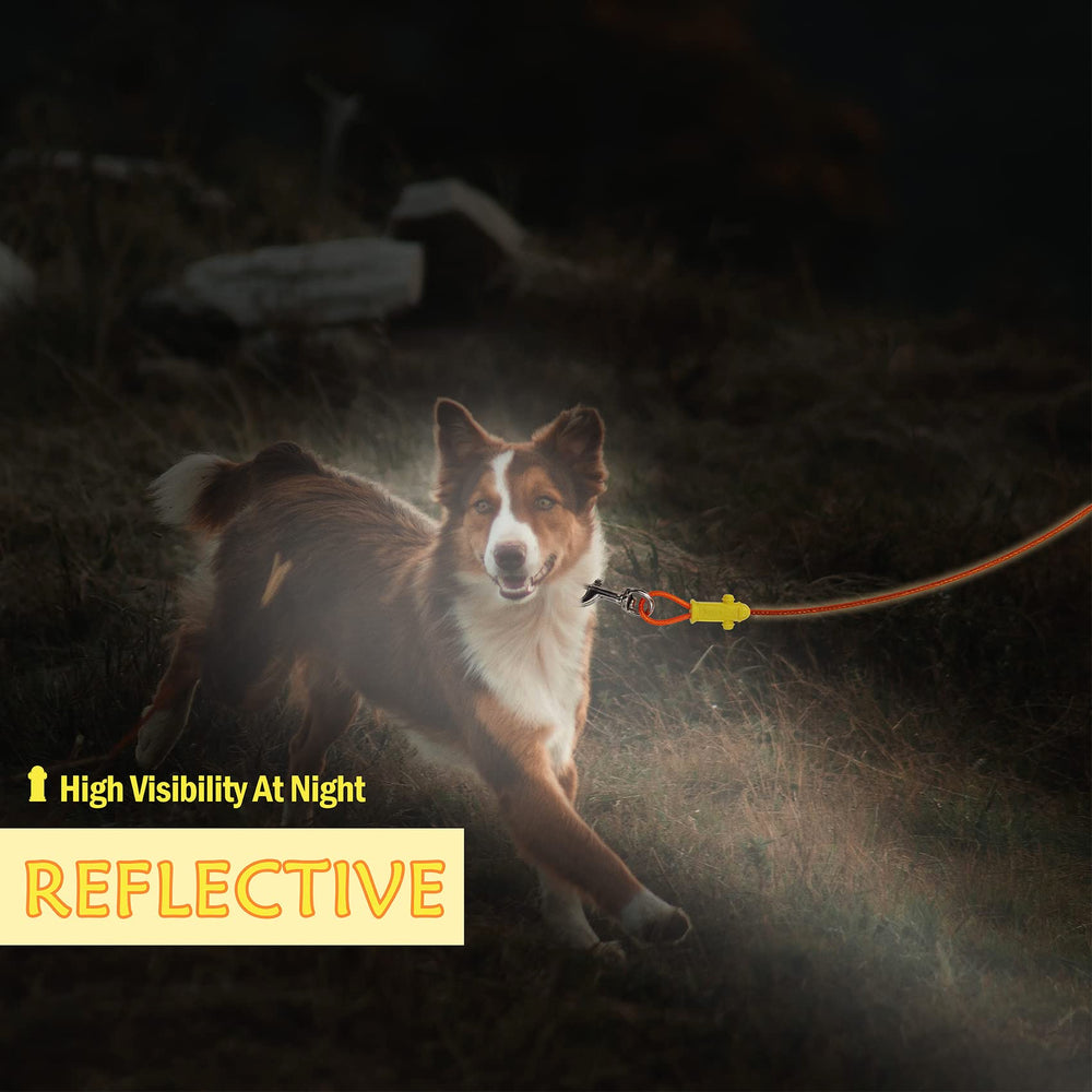 Petest rotation 360°, évite l'enchevêtrement et protège le cou du chien.