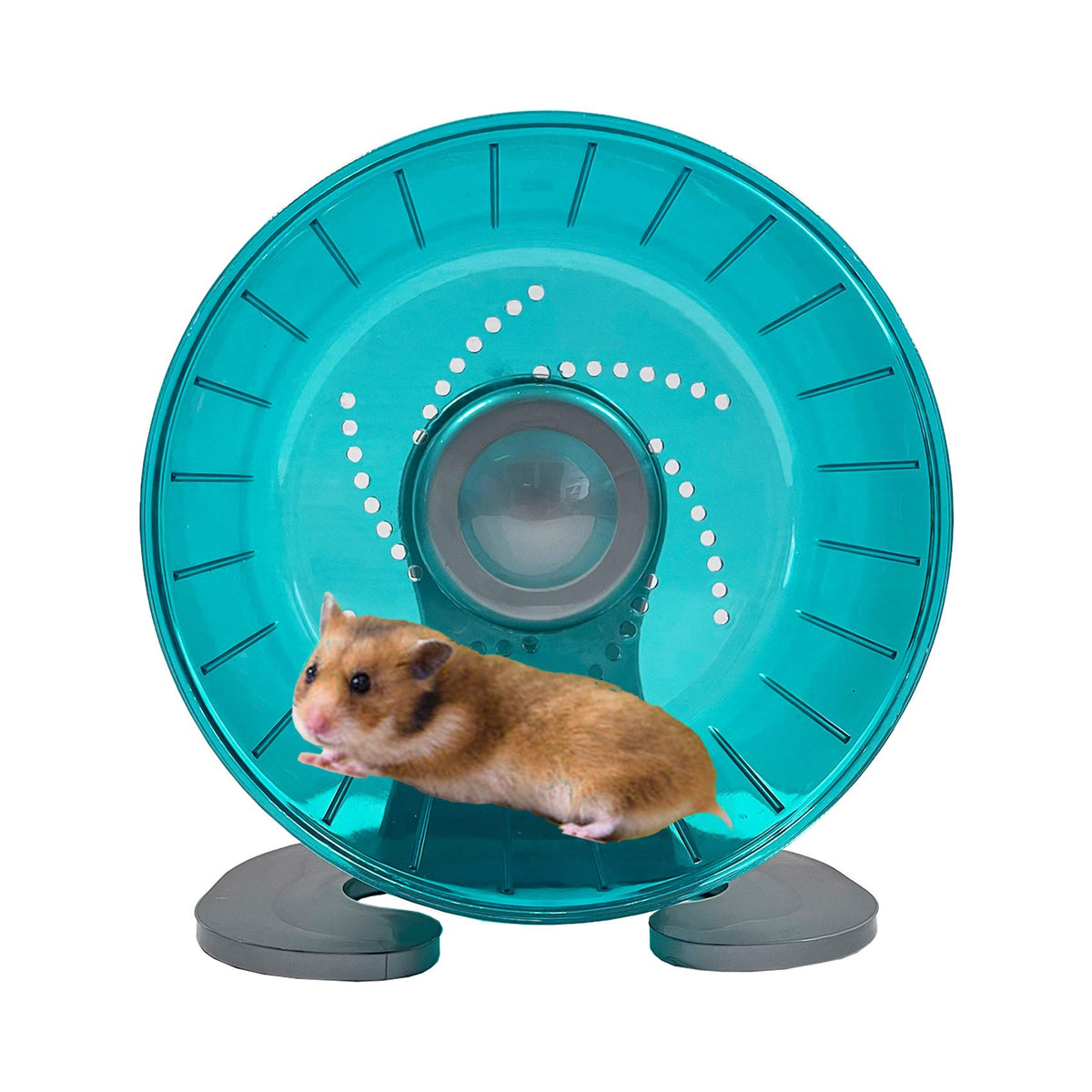 Roue Petest d'exercice pour hamster, diamètre 6,7 po, démonstration d'activité