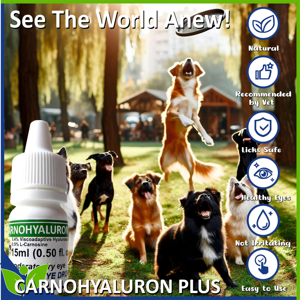 Solution combinée PetEye avec HA et L-Carnosine pour les yeux.