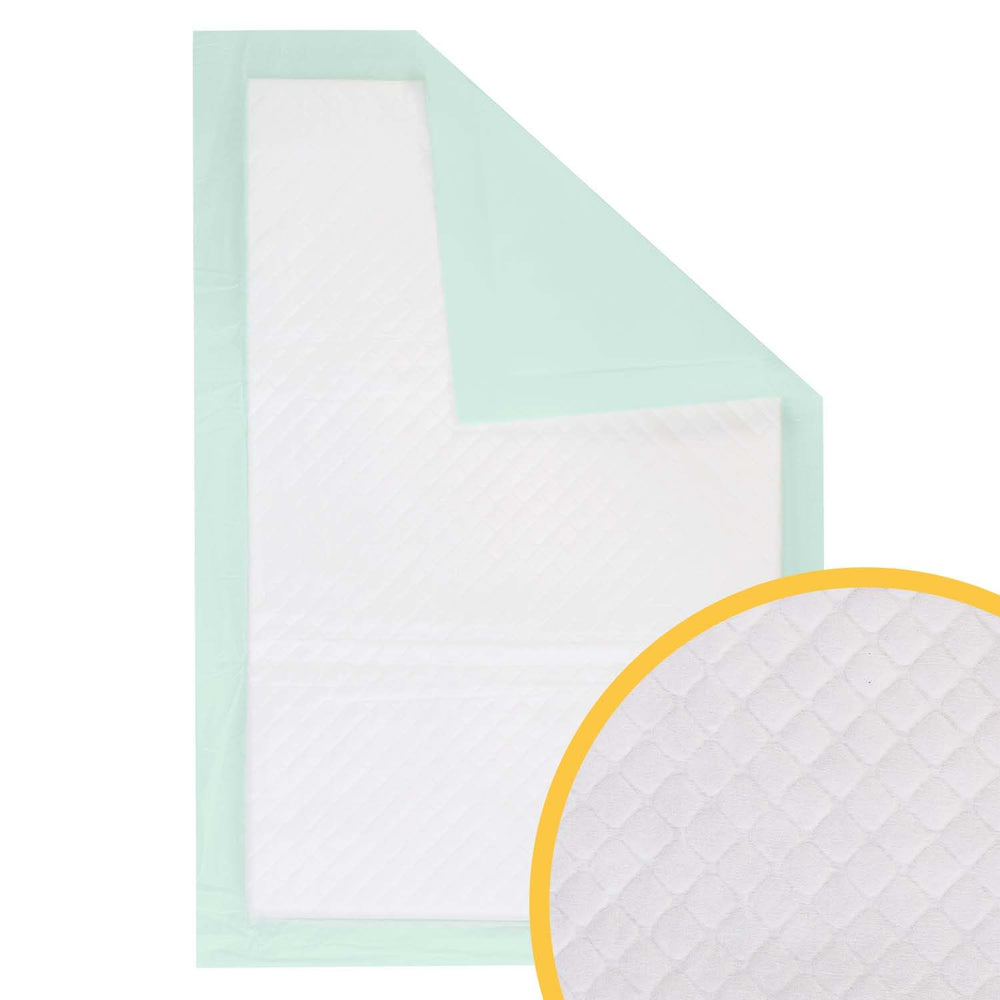 Petfamily tampon litière pour voyage, pratique en déplacement