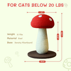 PETFROH base large et solide assure sécurité pendant l’escalade