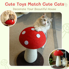 PETFROH champignon cap 11 pouces offre une plateforme stable