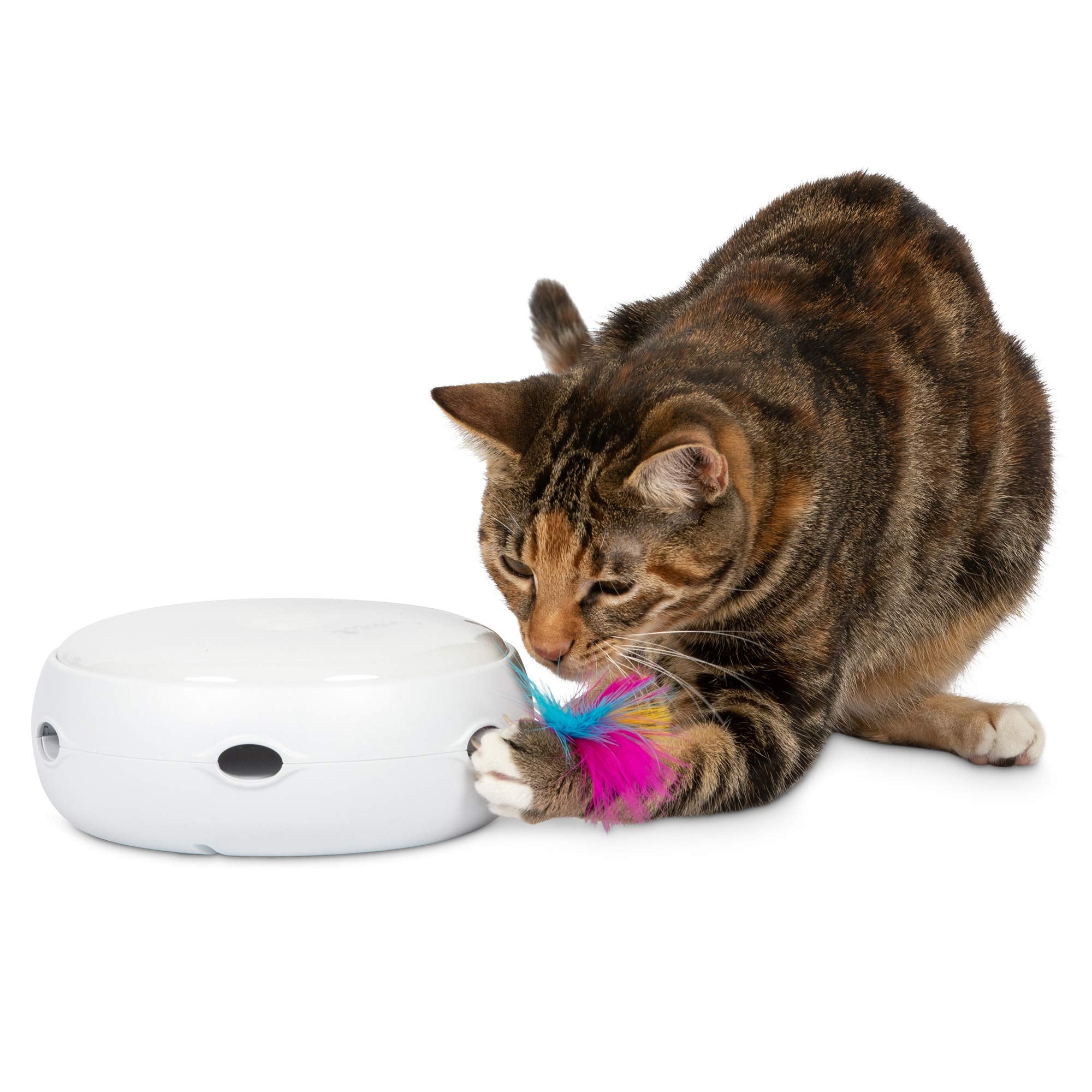 PetFusion Ambush: jouet interactif avec LED attirant le chat pour stimulation visuelle et jeu