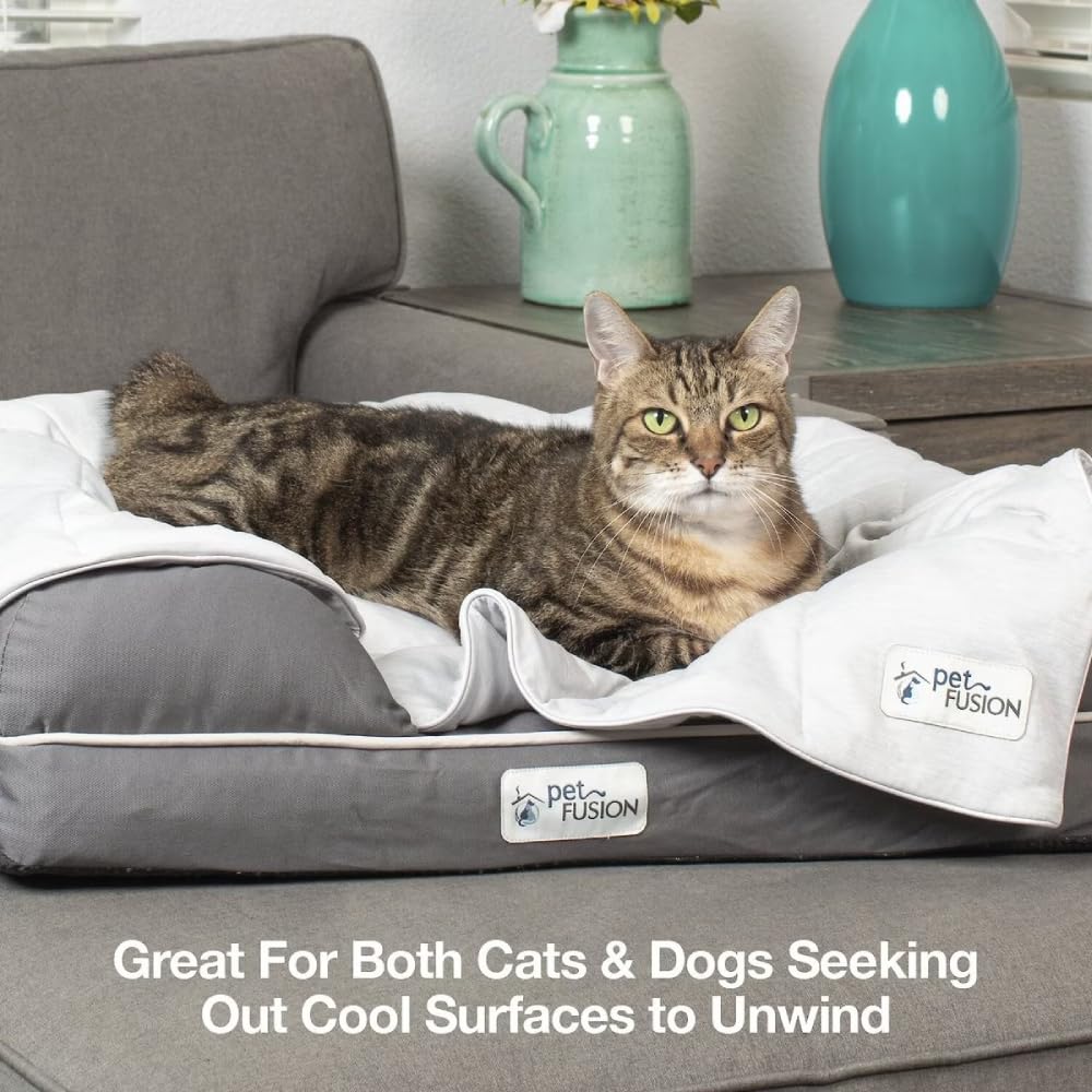 PetFusion grande taille, adaptée pour grands chiens et chats.