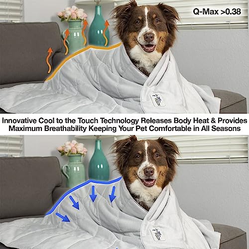 PetFusion couverture sur canapé, protège et rafraîchit les siestes.