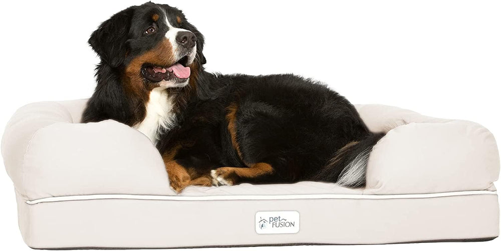 Lit PetFusion XL pour grand chien avec mousse mémoire et confort durable