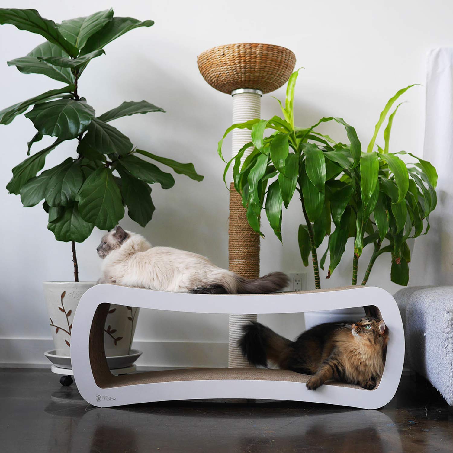 PetFusion-meuble-jeu-griffage: grande surface pour divertissement quotidien.