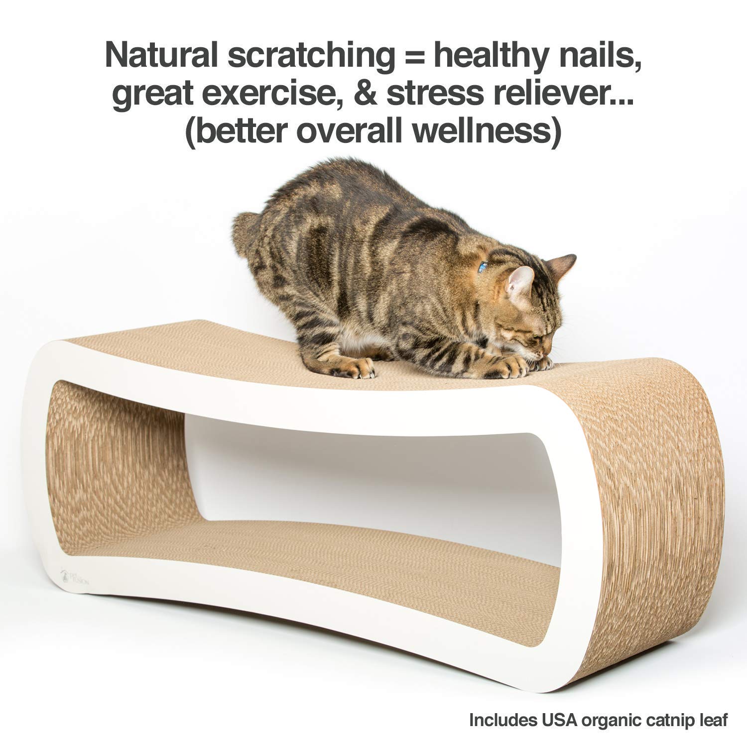 PetFusion-quatre-surfaces-grattoir: offre variété pour jeux et détente des chats.