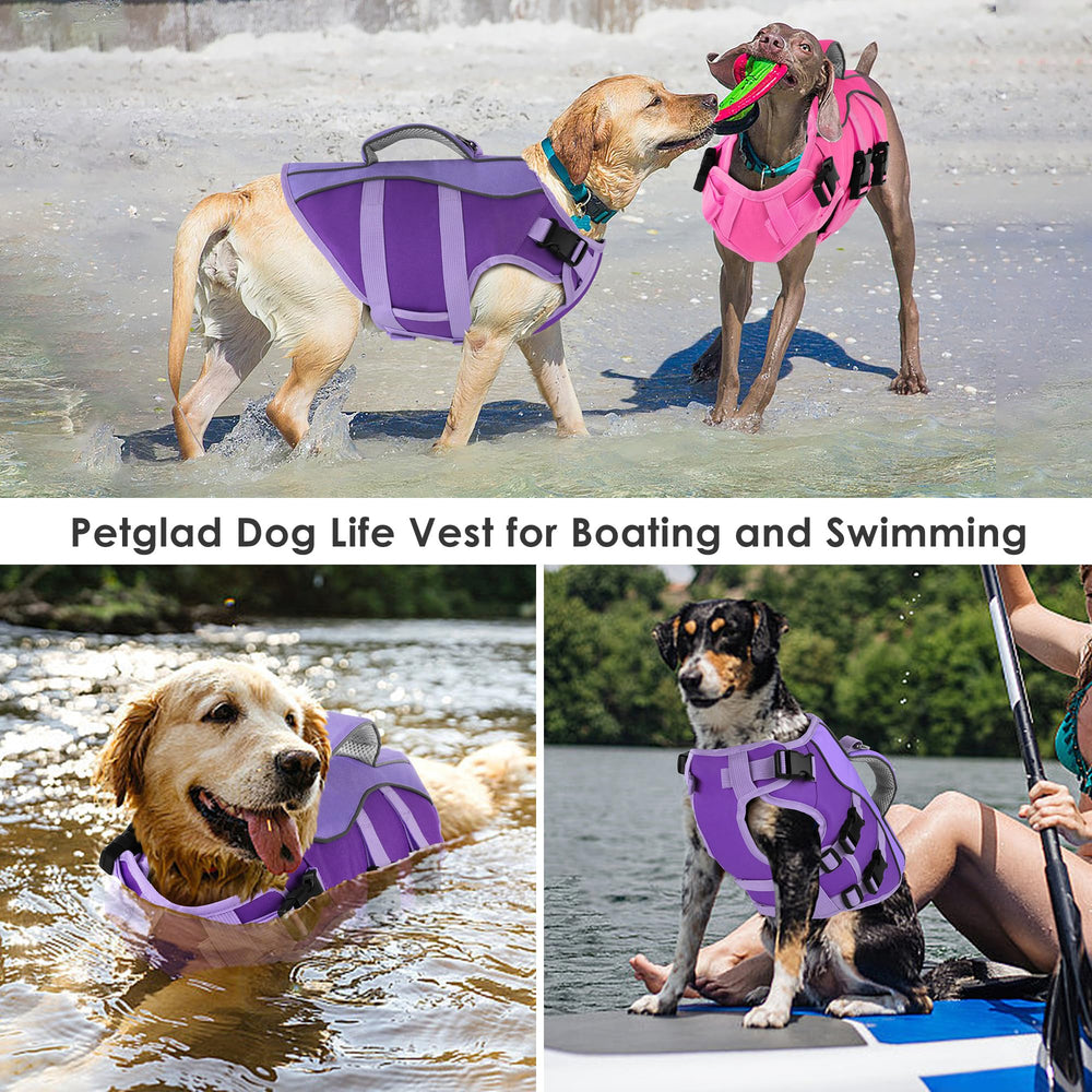 Petglad gilet sauvetage chien idéal pour natation et sorties en plage