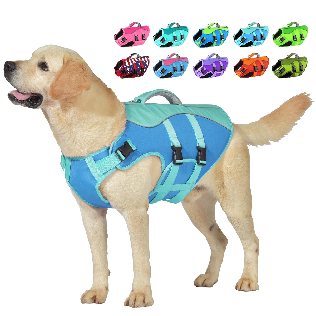 Gilet Petglad bleu vue avant, flottabilité élevée pour la sécurité en natation.