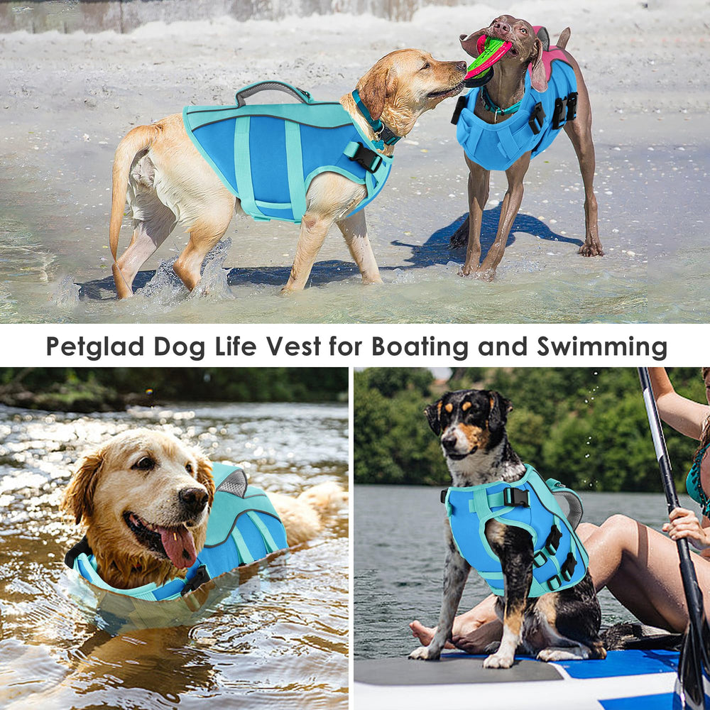 Chien portant gilet Petglad bleu, liberté de mouvement dans l’eau.