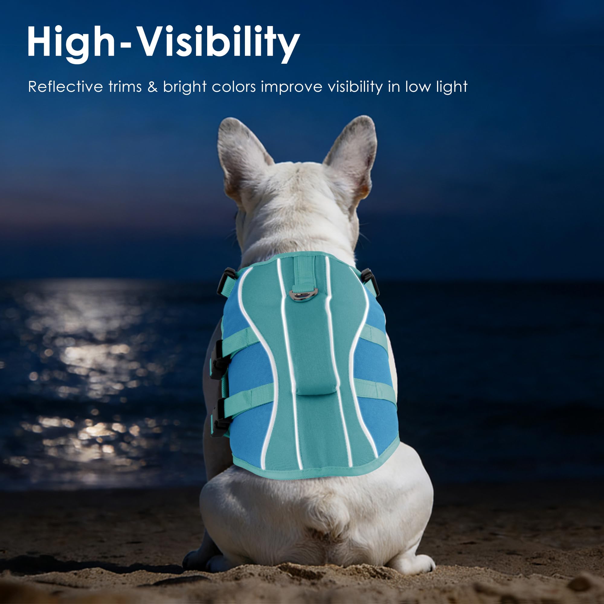 Bandes réfléchissantes Petglad bleu, visibilité accrue au crépuscule.