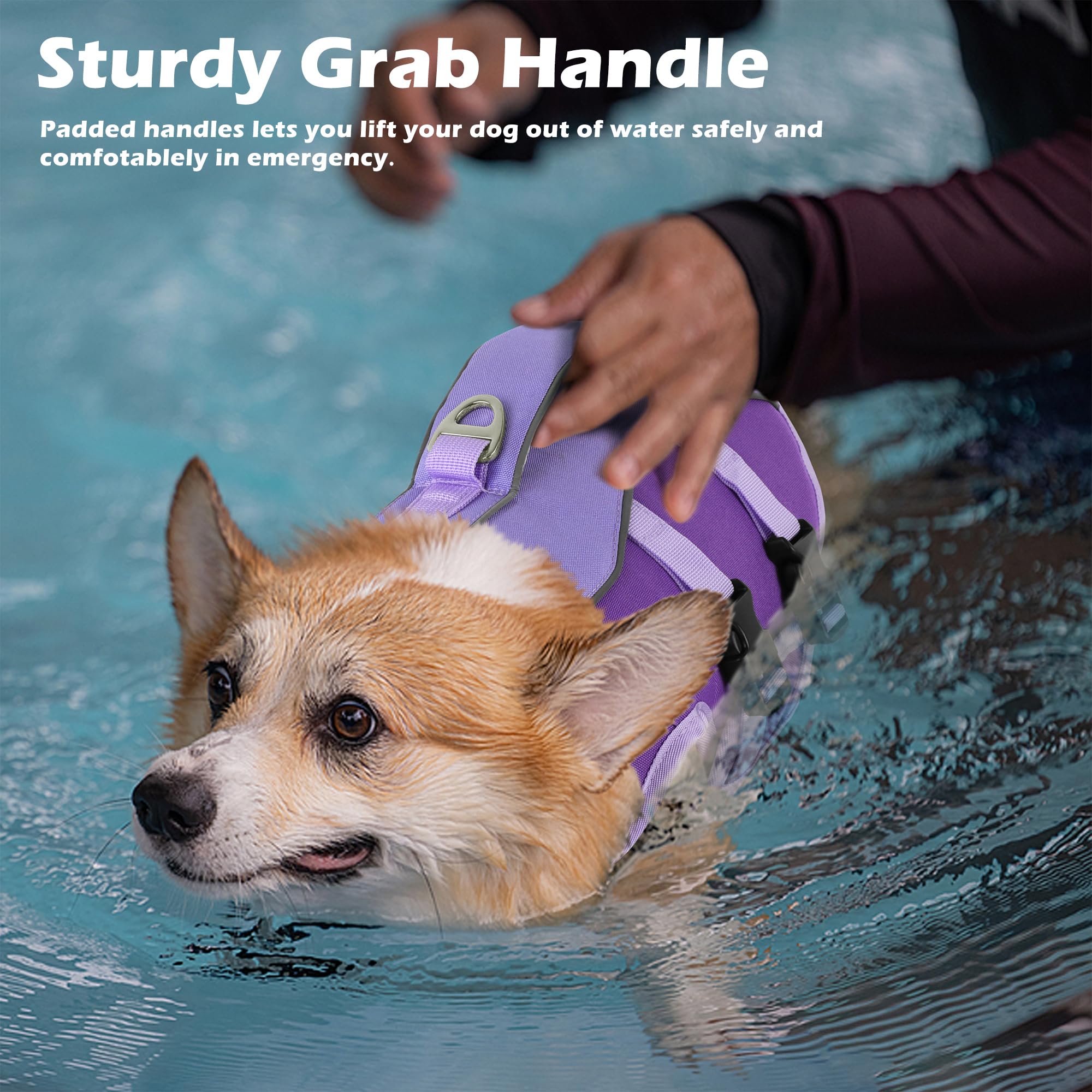 Petglad gilet sauvetage chien vue dos bandes réfléchissantes pour visibilité