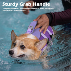 Petglad gilet sauvetage chien vue dos bandes réfléchissantes pour visibilité