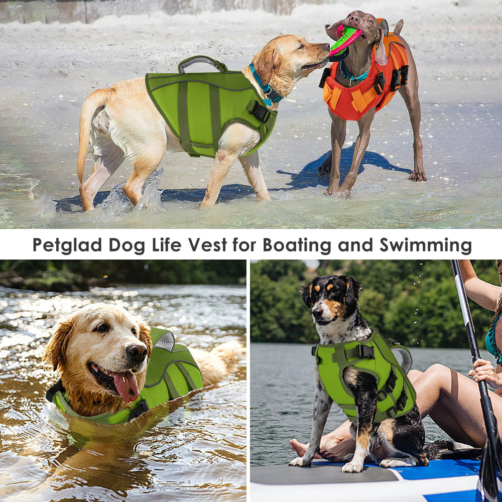 Gilet Petglad assure confort et mouvement lors de la baignade.