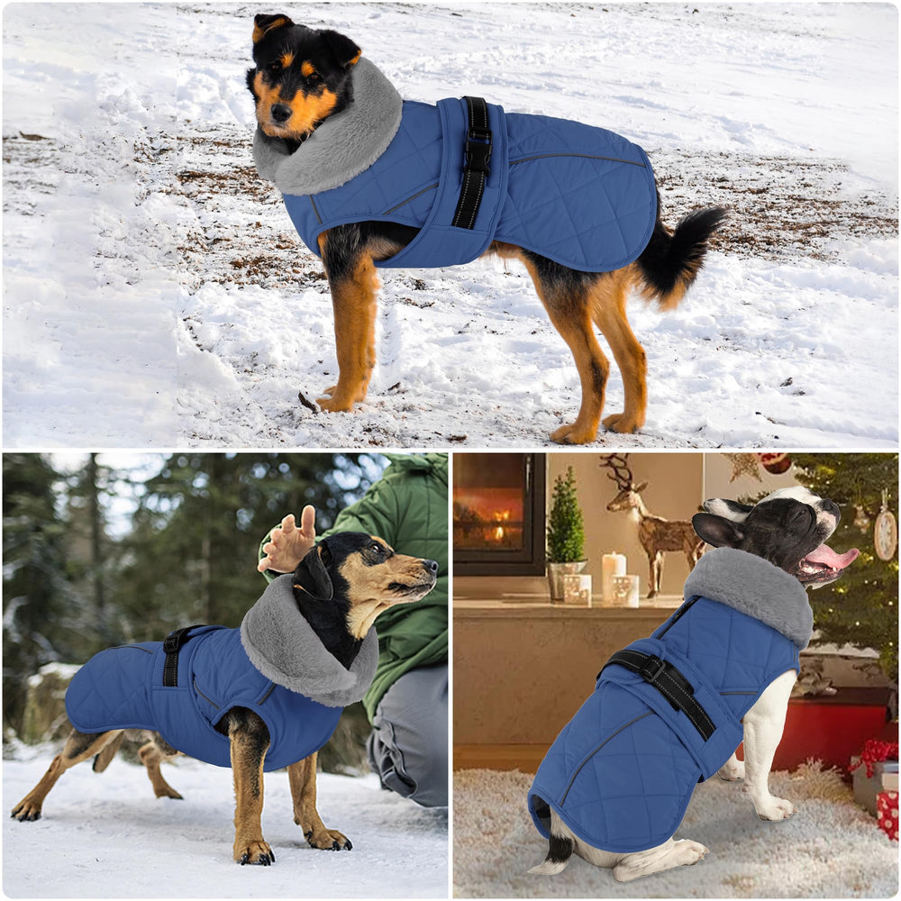 Boucle réglable du manteau Petglad assure un ajustement sûr et confortable.