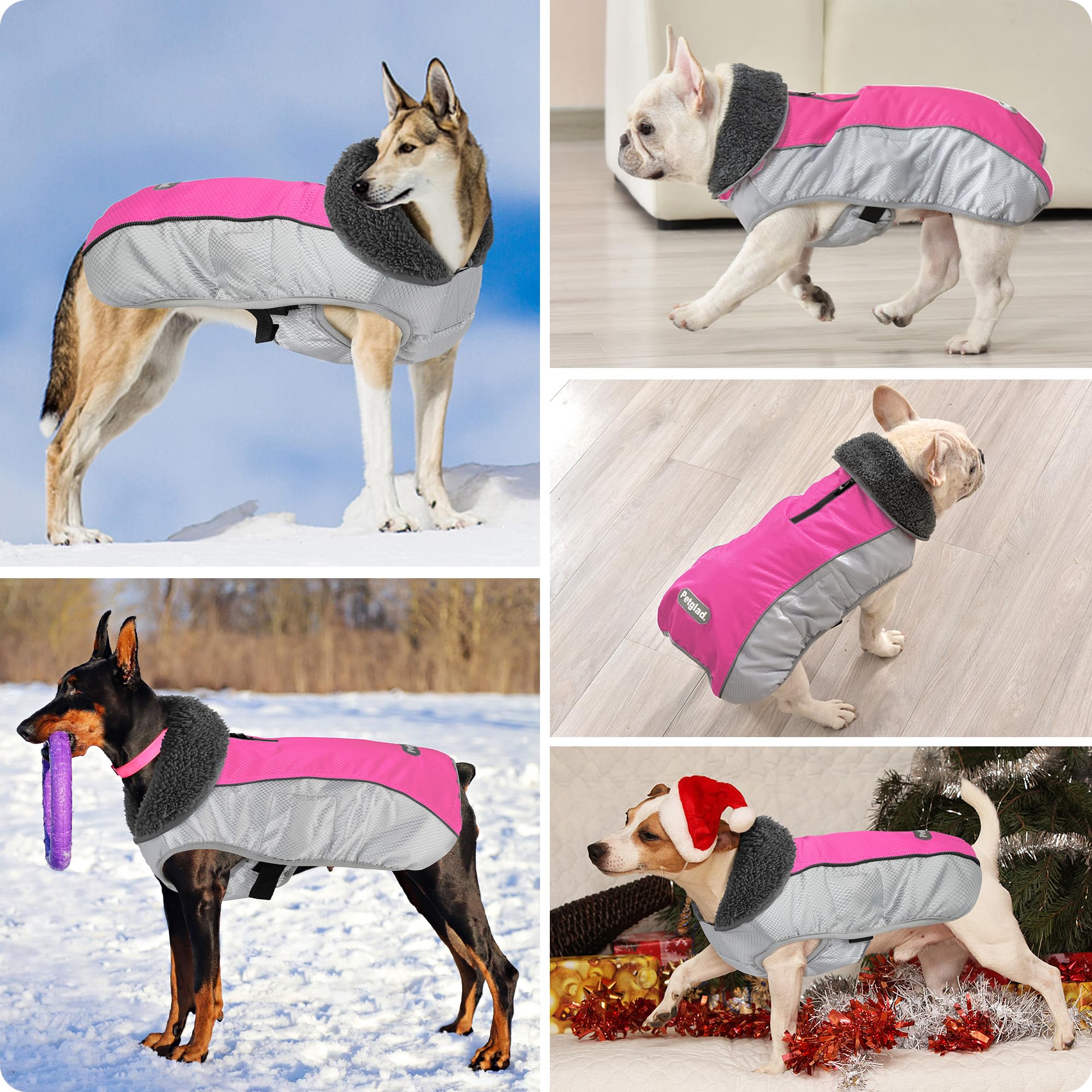 Manteau Petglad réfléchissant pour une sécurité accrue en soirée.