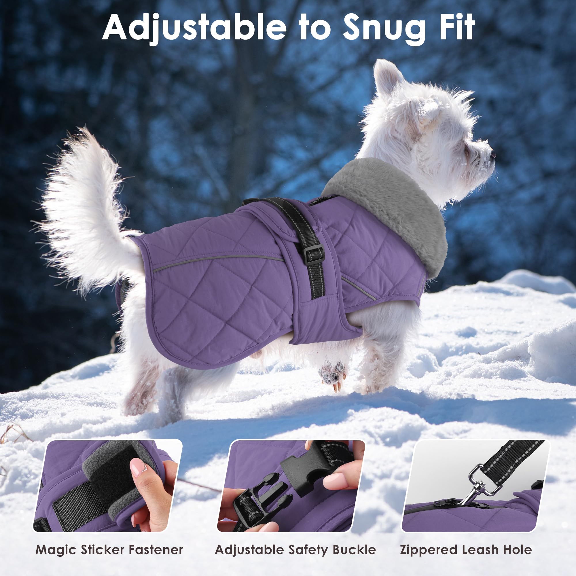Manteau Petglad avec cou haut reflechissant violet XL — meilleure visibilite nocturne.